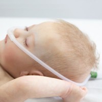 size-5-nasal-ram-cannula-teal-blue-6000-gms