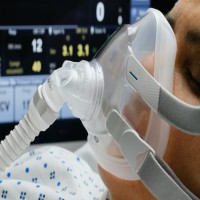 Size Medium Ventilator Mask ( Non Vented ) 